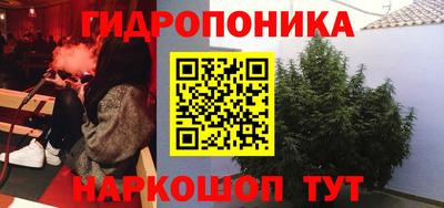 прущие крисы Аша