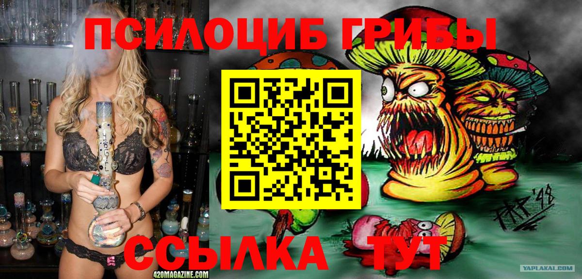 Псилоцибиновые грибы GOLDEN TEACHER Большой Камень