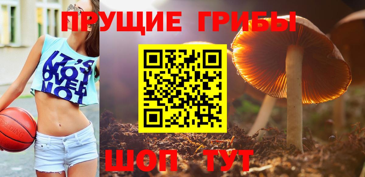 Большой Камень  Псилоцибиновые грибы мухоморы  Вход с VPN 