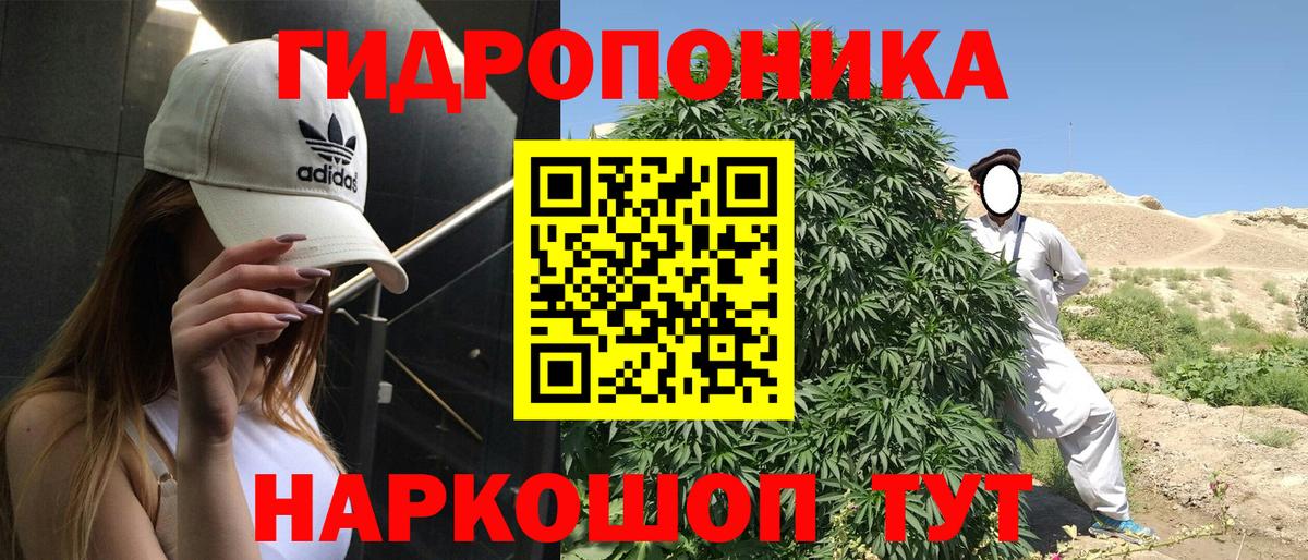 Марихуана Bruce Banner Большой Камень